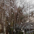 Maria Lemery: Rain on Window Pane