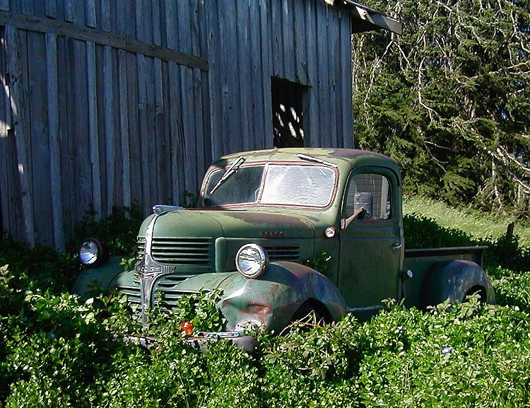 Ann Zeise: Forlorn, abandoned Dodge truck still watching with Bright Headlamps