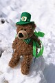 Dave Herzstein: St. Patrick's Bear