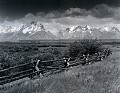 Kaz Hamono: Fence & Teton Range